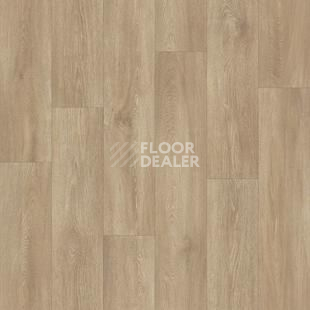 Линолеум Tarkett Idylle Nova Atlanta 1 фото 1 | FLOORDEALER